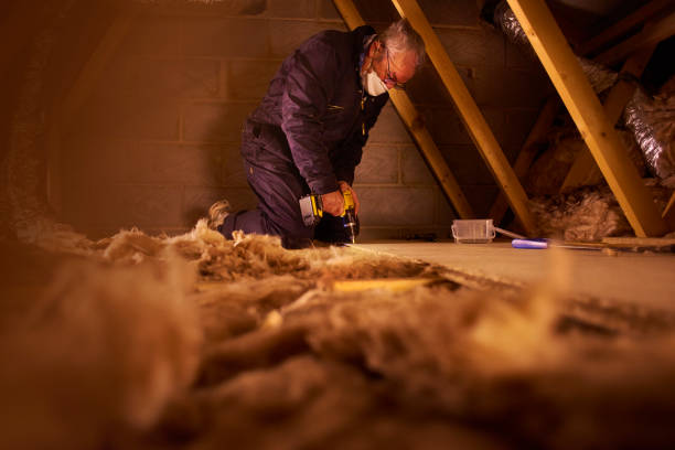 Types of Insulation We Offer in Bloomingdale, IL